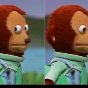 Meet your Posher, Luis